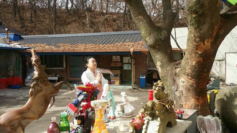 선황기도